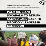 Resistance: SOCAPALM Cameroon 