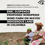 Enel Suspends Wind Farm in Colombia