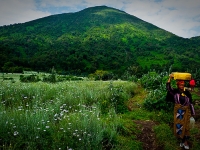 Virunga