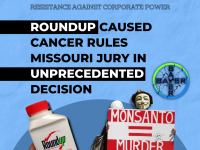 Roundup Caused Cancer Rules Missouri Jury In Unprecedented Decision