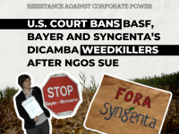 U.S. Court Bans BASF, Bayer and Syngenta’s Dicamba Weedkillers After NGOs Sue