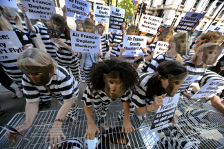 2014-08-21 Peta activities protest against Air France Monkeys in Cage