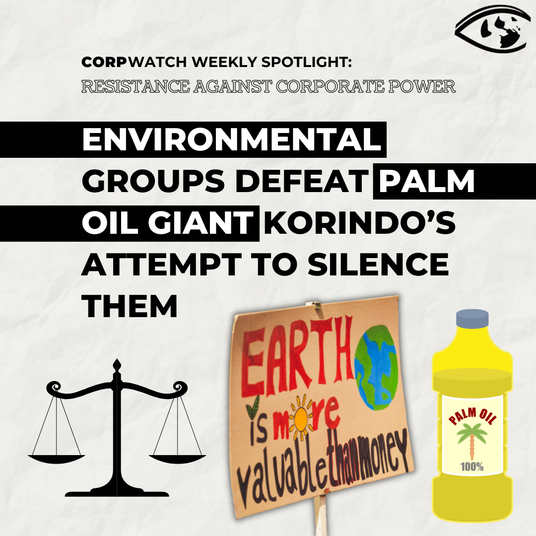 Resistance: Environmental Groups Korindo
