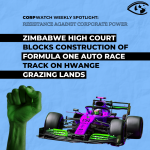 Resistance: Formula One Zimbabwe