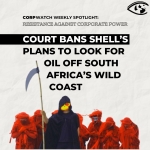 Resistance: Shell Wild Coast