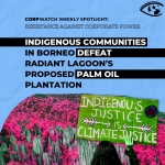 Resistance: Borneo Palm Oil