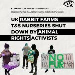 Resistance: Rabbit Farms