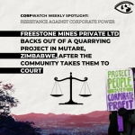 Resistance: Freestone Zimbabwe