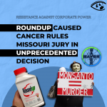 Roundup Caused Cancer Rules Missouri Jury In Unprecedented Decision