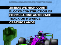 Resistance: Formula One Zimbabwe