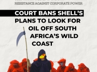 Resistance: Shell Wild Coast