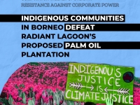 Resistance: Borneo Palm Oil