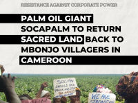 Resistance: SOCAPALM Cameroon