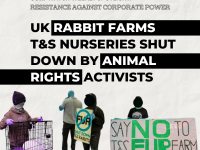 Resistance: Rabbit Farms