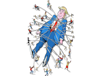 trump cards