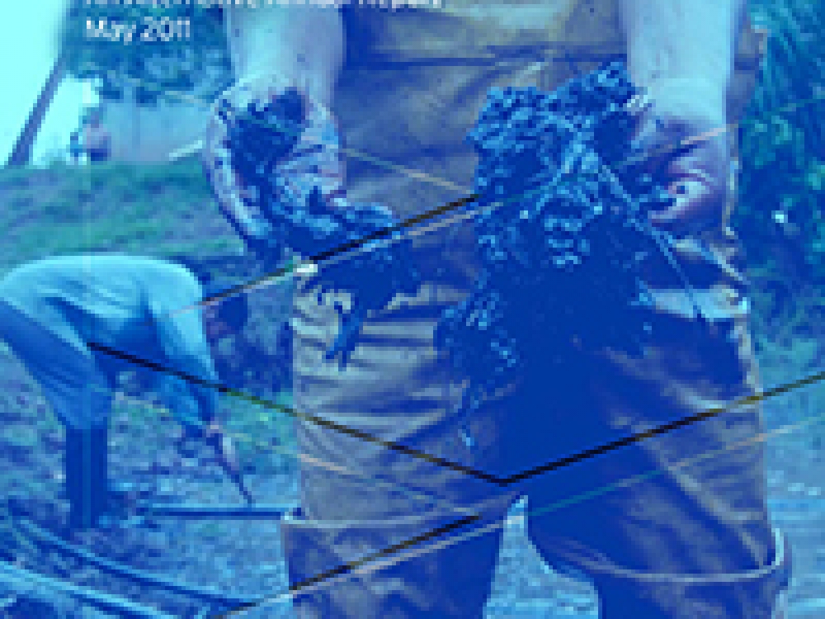 The True Cost of Chevron An Alternative Annual Report corpwatch