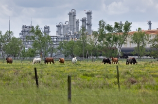 Shintech Chemical Plant in Plaquemine, Louisiana, in 'Cancer Alley' - Photographer Julie Dermansky