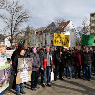 Protest against Tesla Gigafactory Grünheide PHOTO Leonhard Lenz